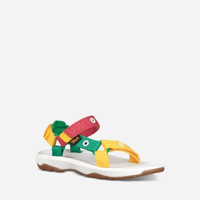 Teva Hurricane Xlt 2 South Africa - Hungry Caterpillar Kids Hiking Sandals South Africa - BVK176045